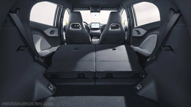 Detalle interior del BYD Dolphin Surf