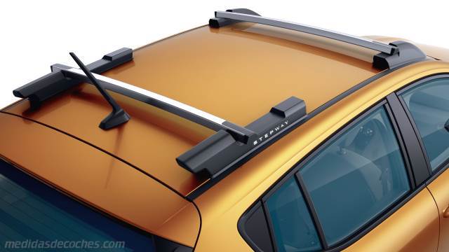 Detalle exterior del Dacia Sandero Stepway