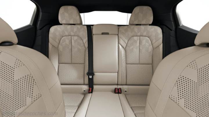 Interior Polestar 2- 2020